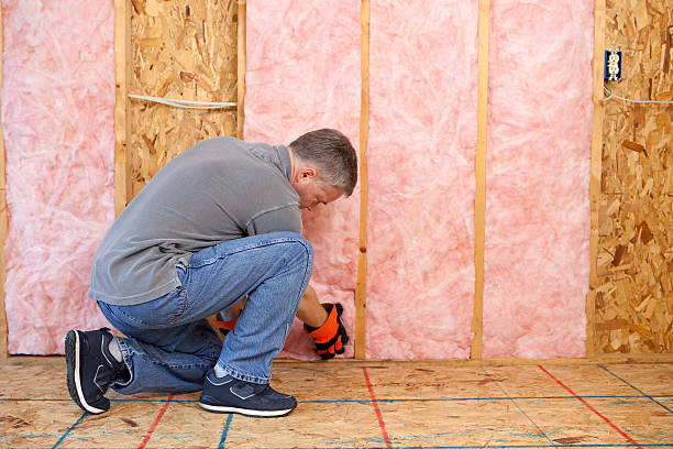 Best Spray Foam Insulation in Homeland, GA