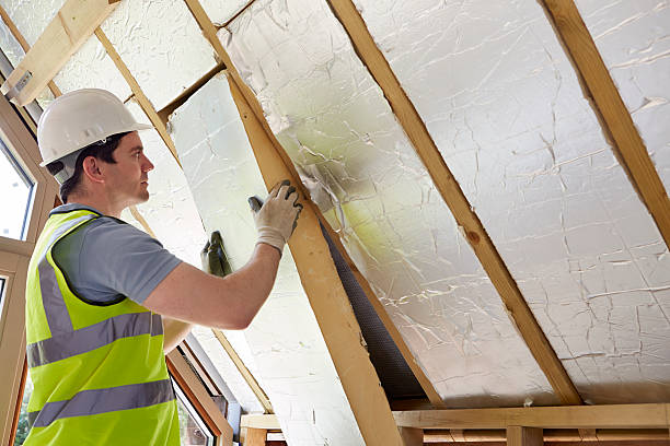 Best Geographic-Specific Insulation Services in Homeland, GA