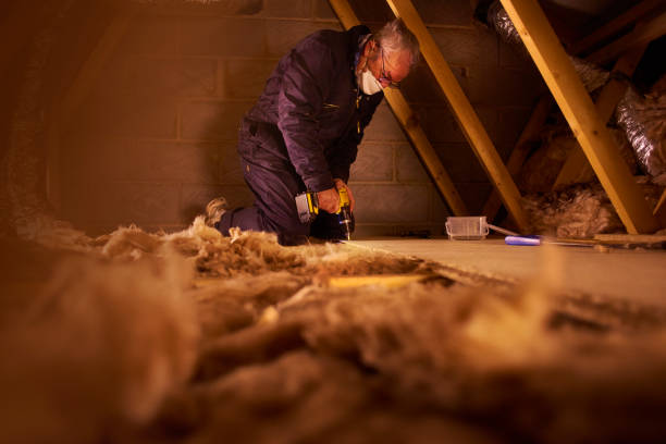 Best Insulation Maintenance and Repair in Homeland, GA