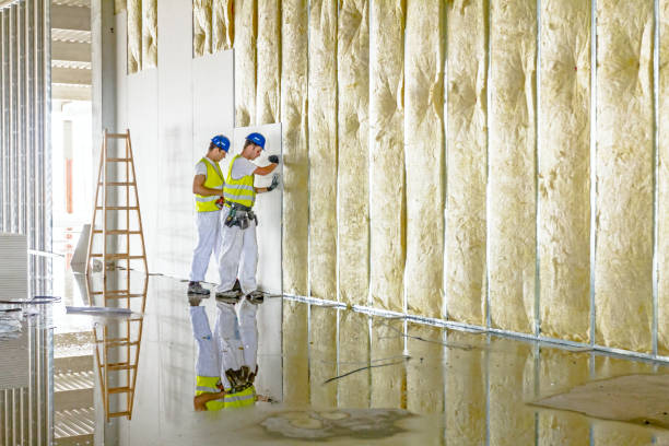 Best Fiberglass Insulation in Homeland, GA